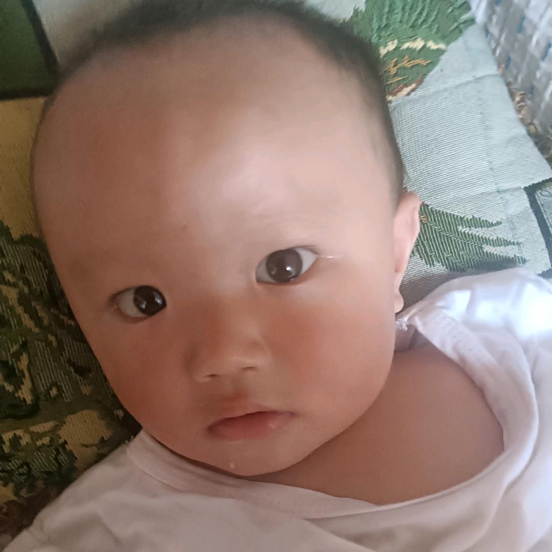 我住在山咔咔