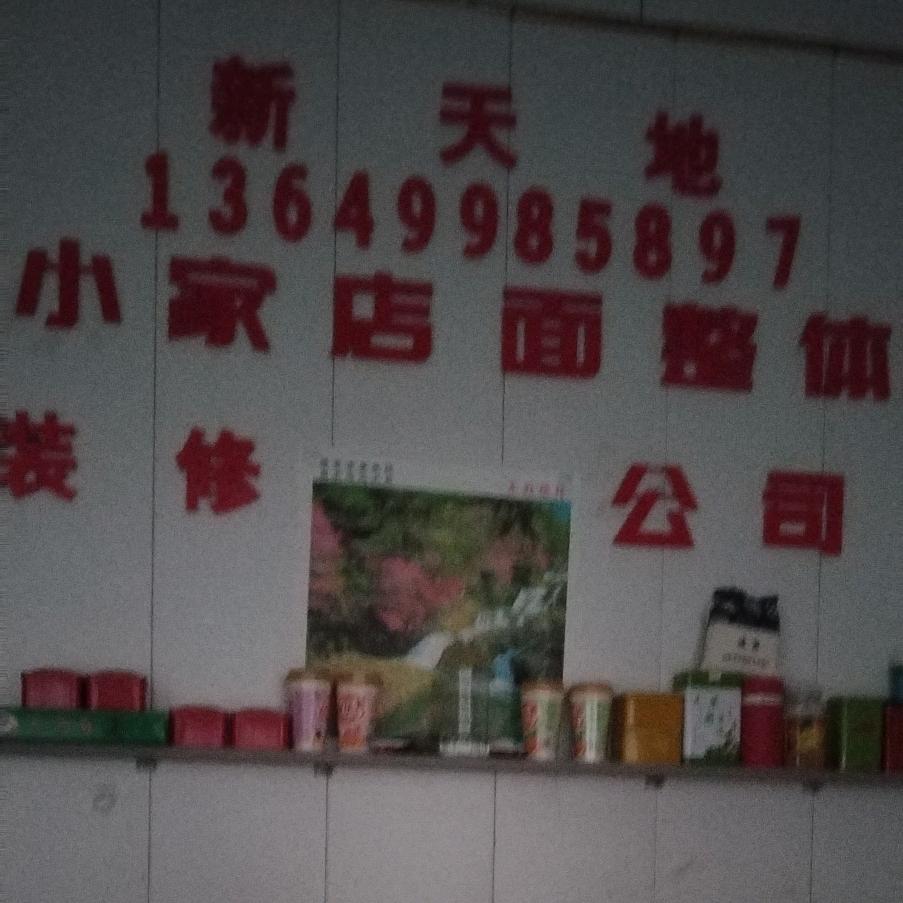新天地专业室内外整体装修直播带货主播