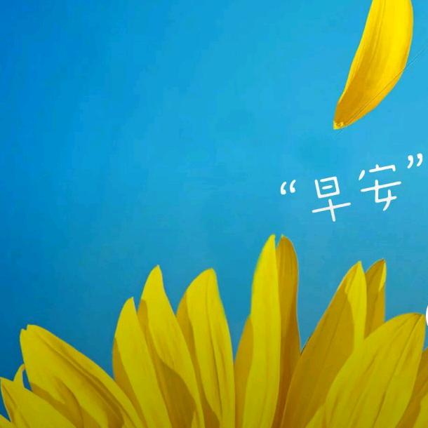 向日葵🌻
