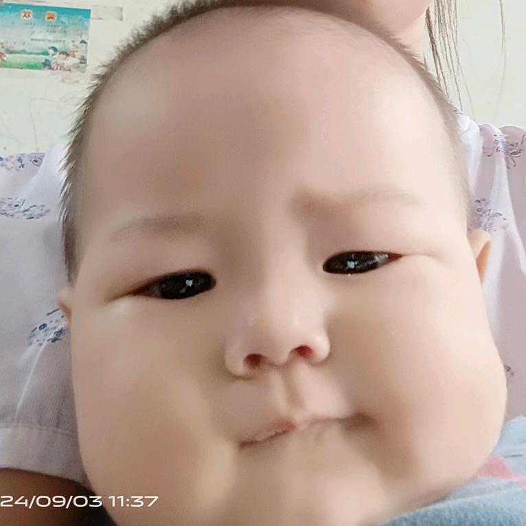 邱道谷头像