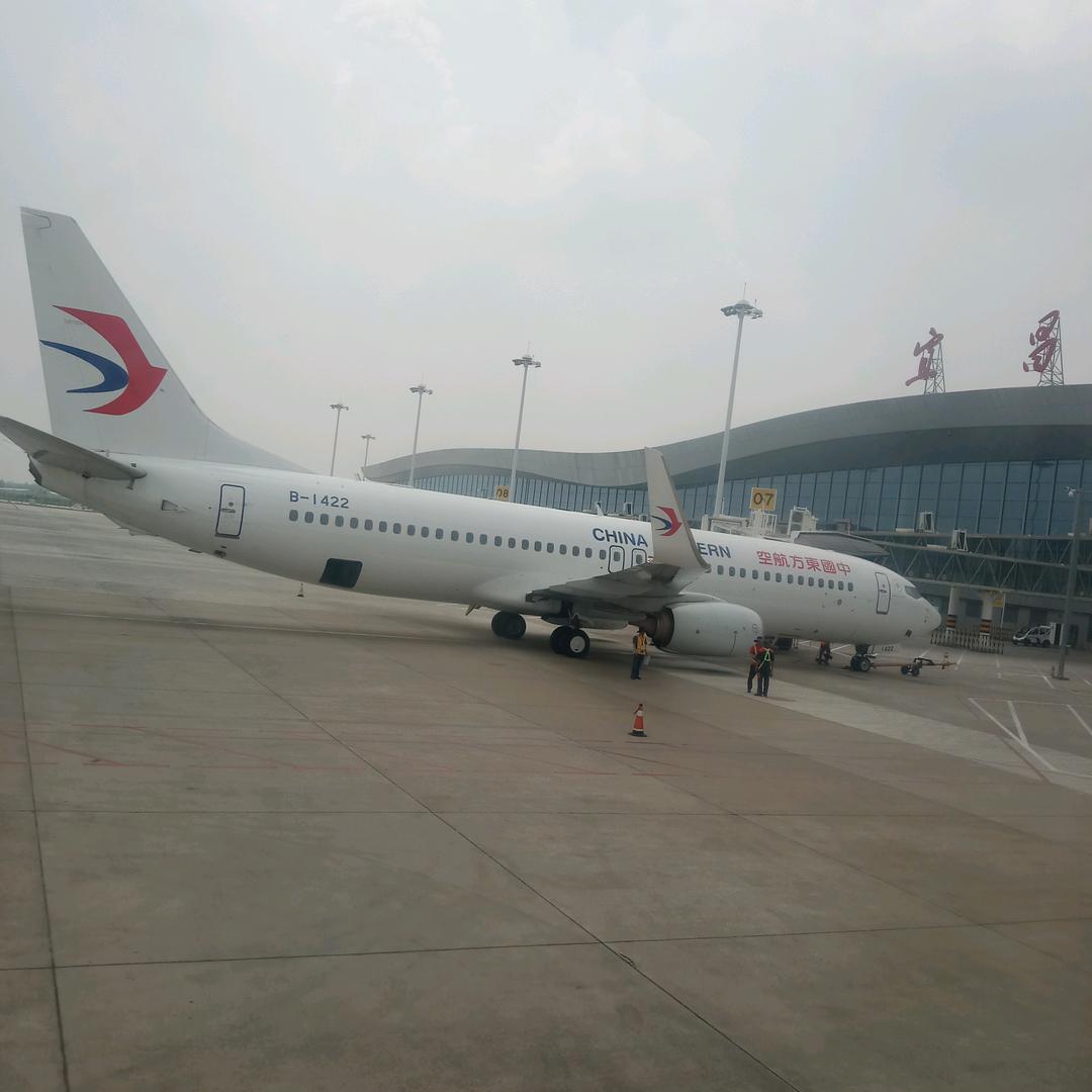 我是兔