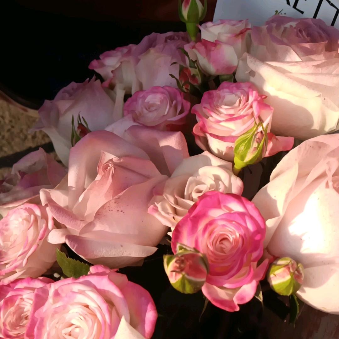 祝2025年好运连连