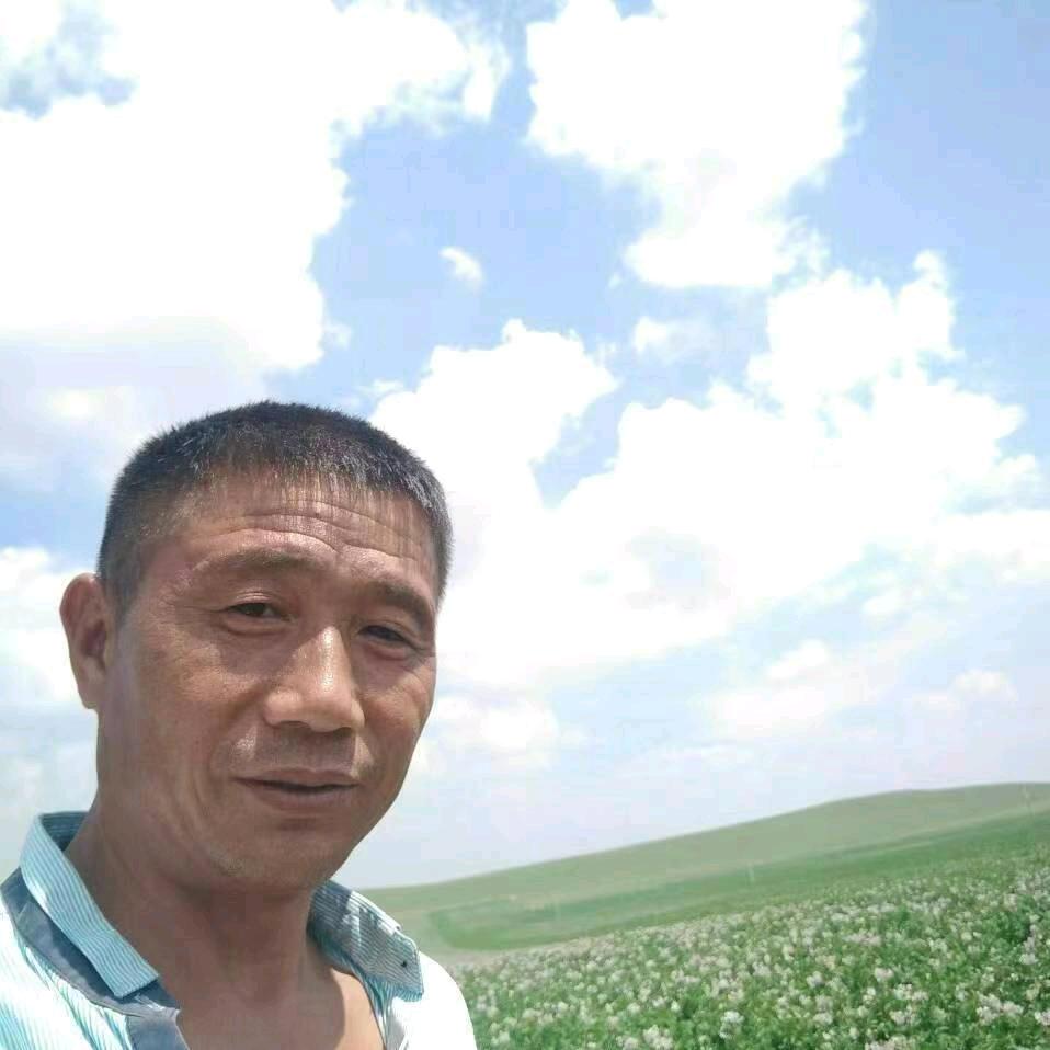 嘟嘟嘟