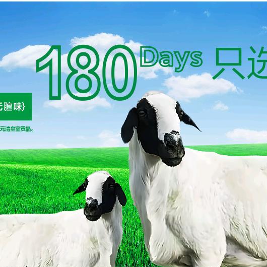 苏尼特牛羊肉