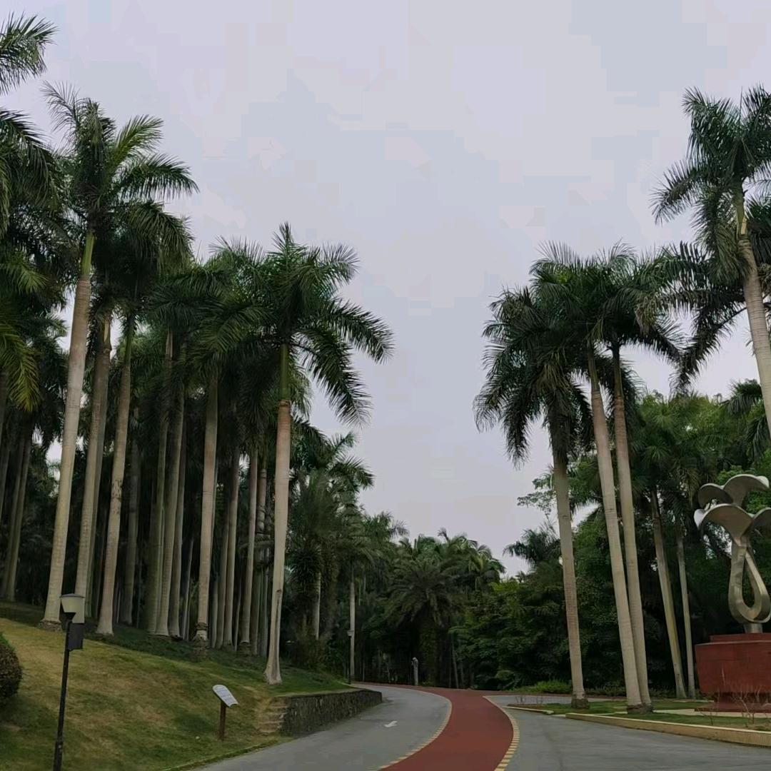 上海文哲劳务派遣有限公司周口分公司