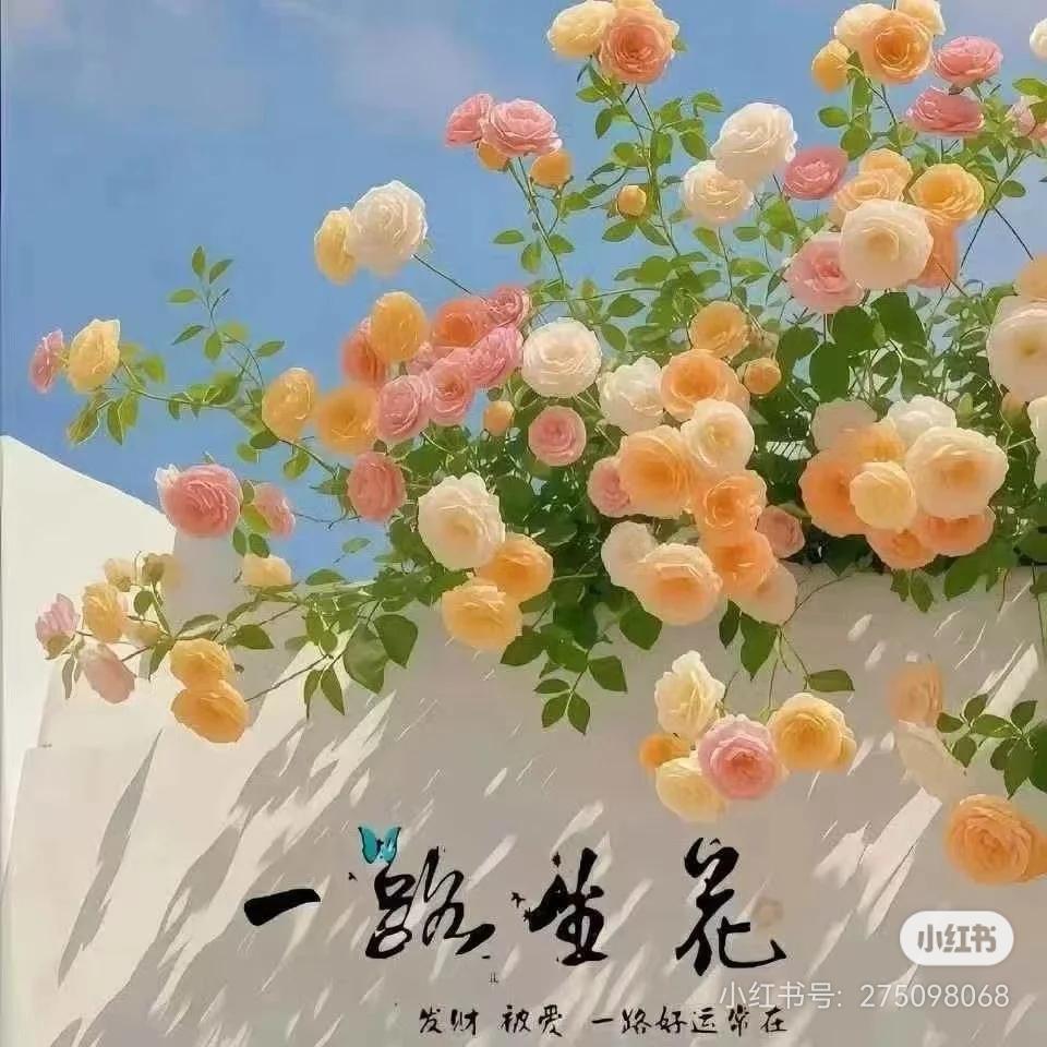 晚晴WanQing