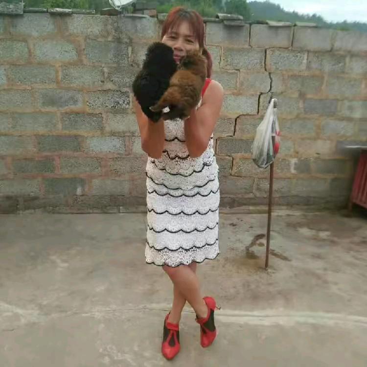 人美心善