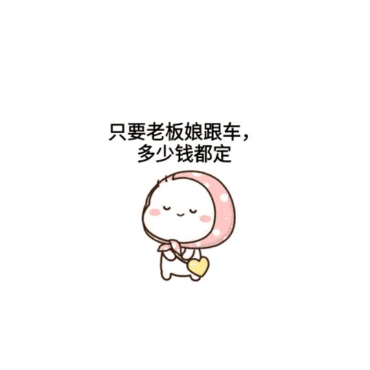 杨一人一车游世界