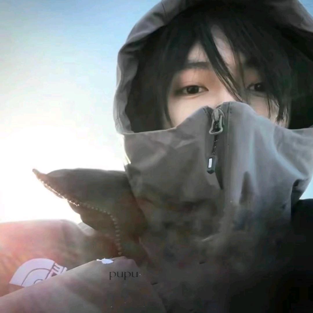 KVVK(HoHo定台版)