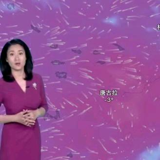 金玉鑫保质优选