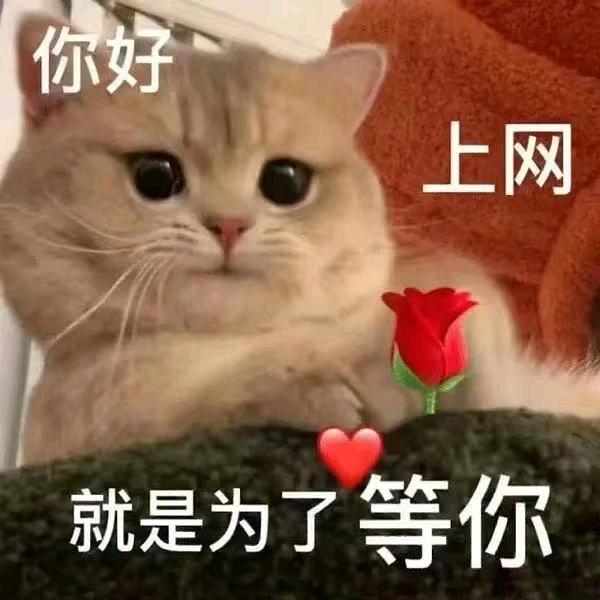 等雨停