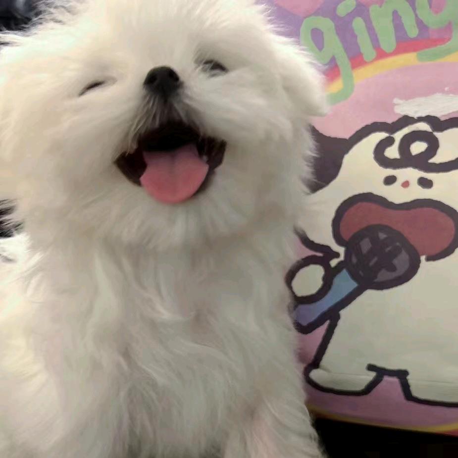 典韦