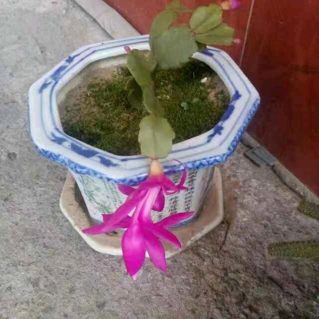 彼此尊重