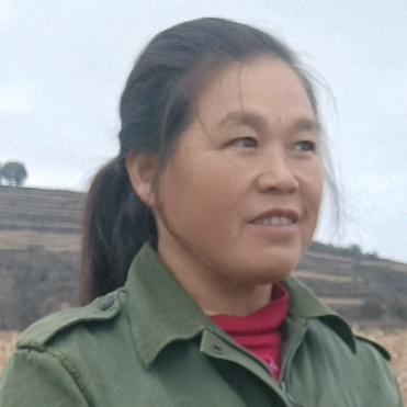 周大姐