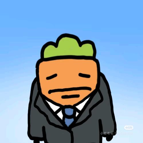 不曾去过倒悬山