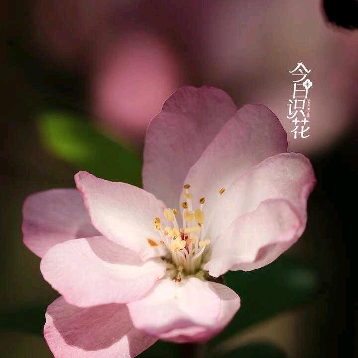 随缘♥♥
