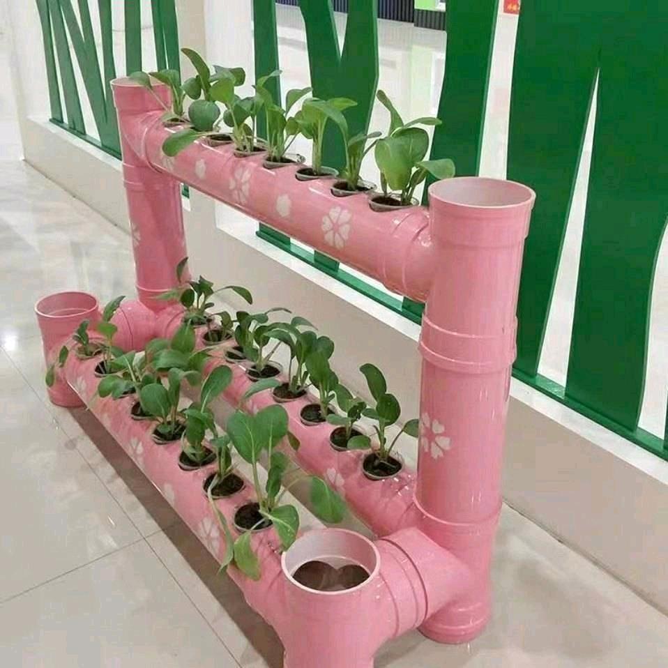 向往明天