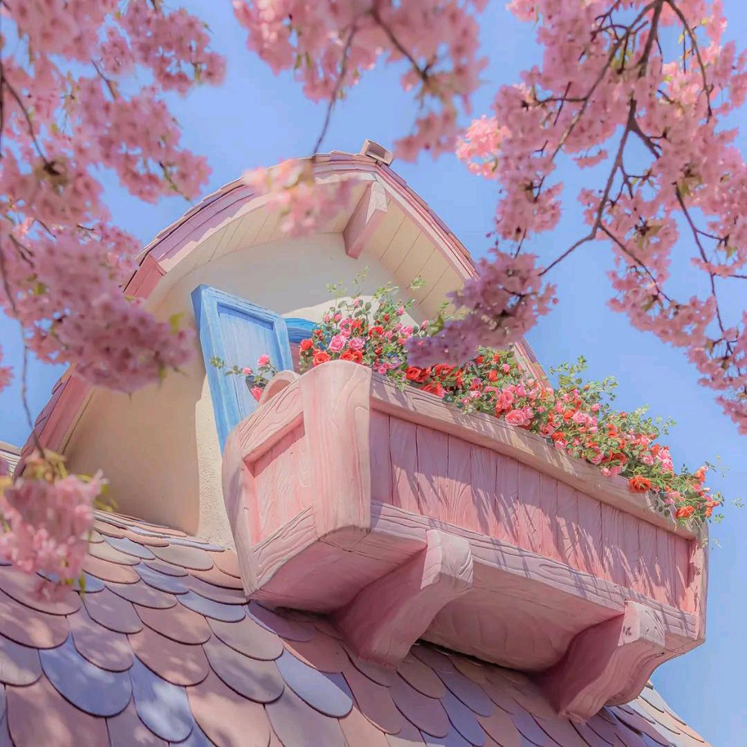 阿琦♡头像