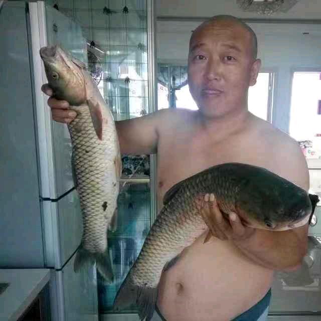 靖哥哥5376