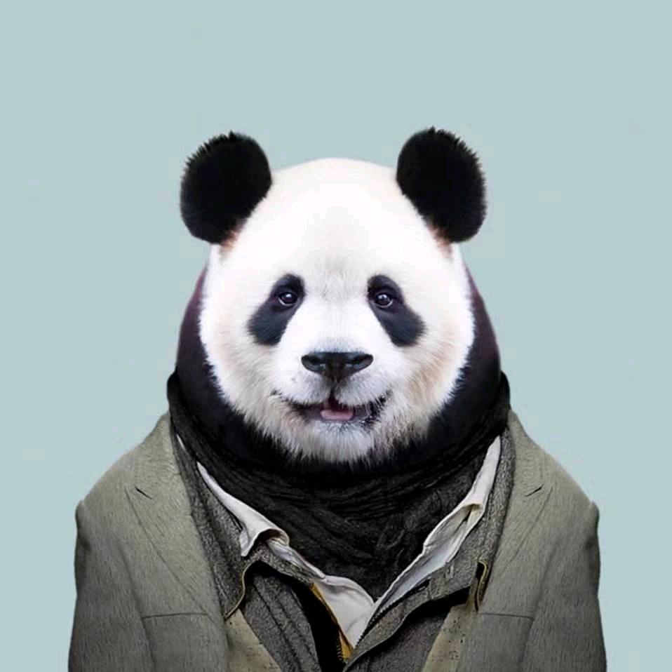 锅盖