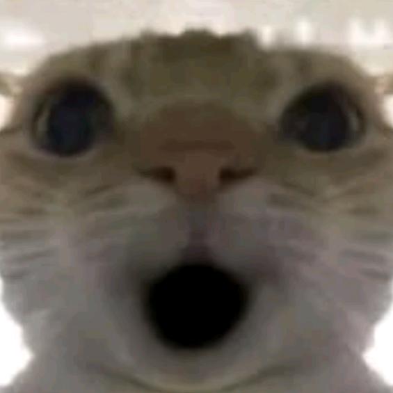 放逐(三角洲行动)