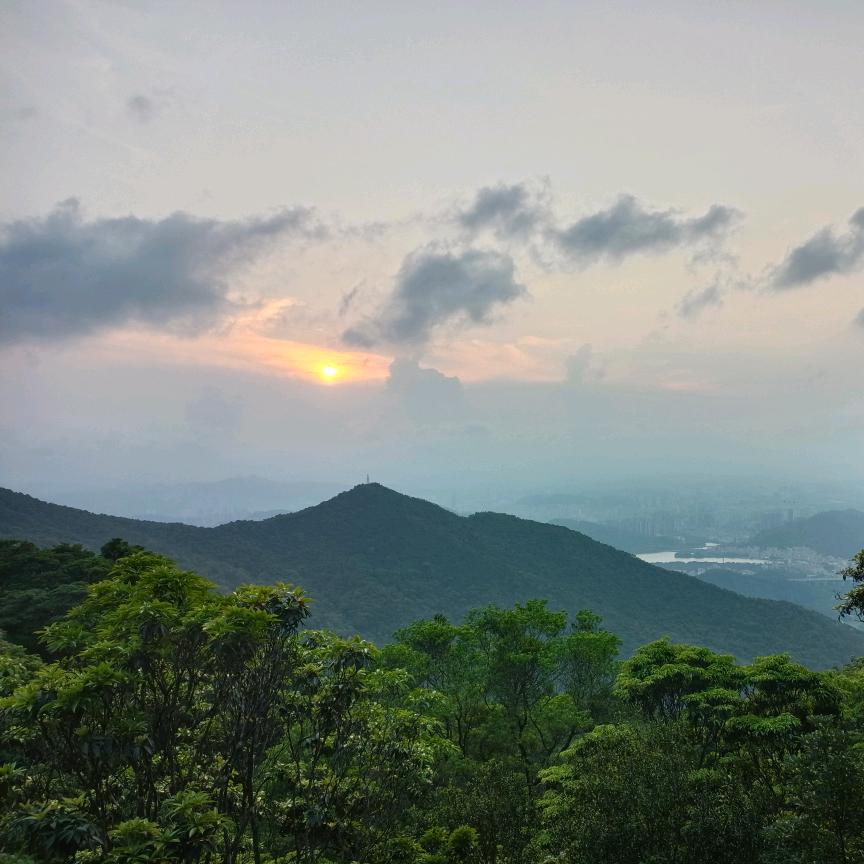 打开天窗说亮话