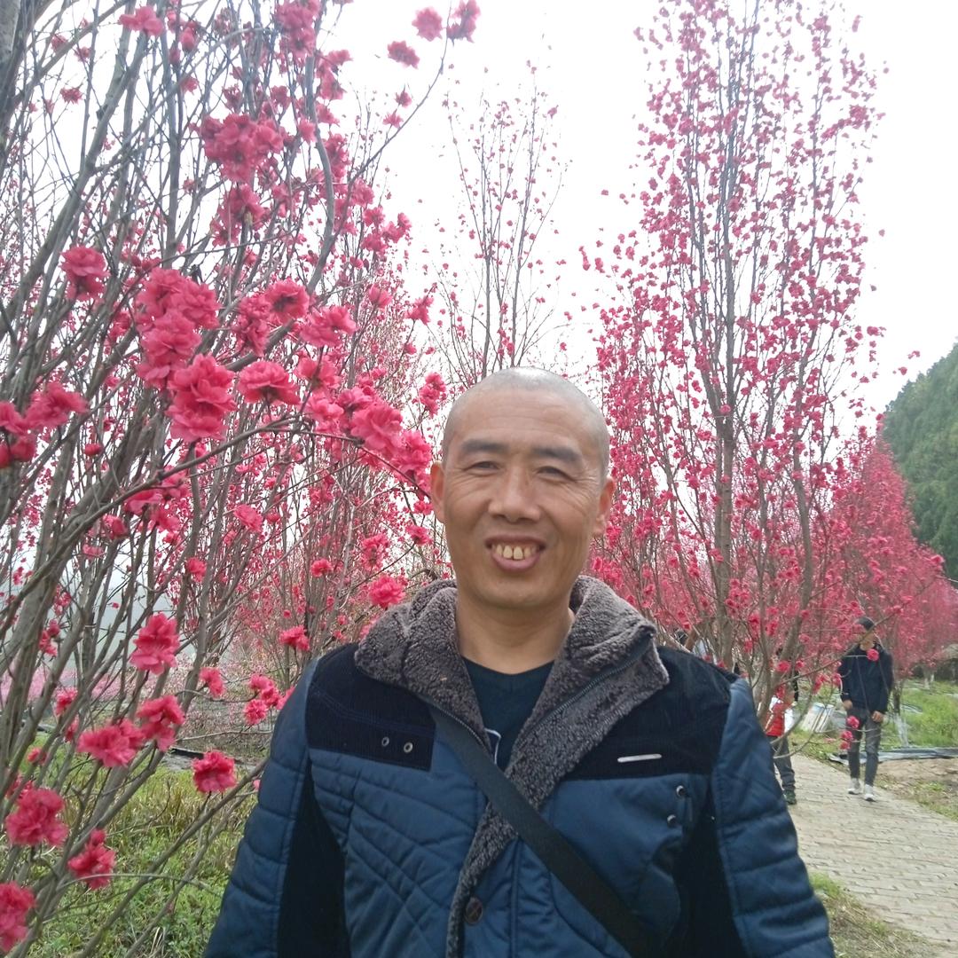 🌸不忘初心