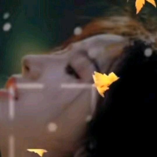 ☀️熠熠生辉🌟🌟🌹