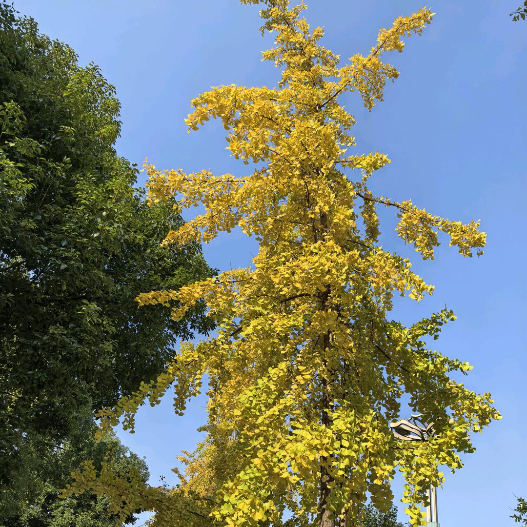 洁小洁𖤣𖥧𖥣｡𖤣𖥧𖥣｡