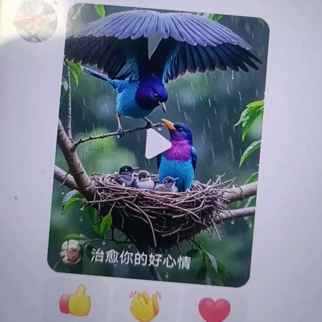 如意三宝贝