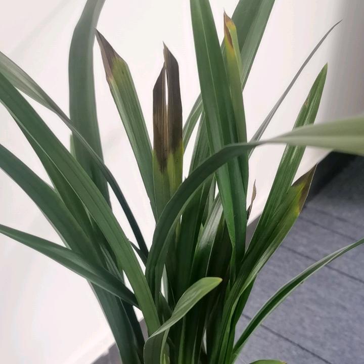 VANYEE万宜户外装备专卖店