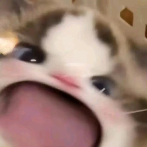 Coen TF