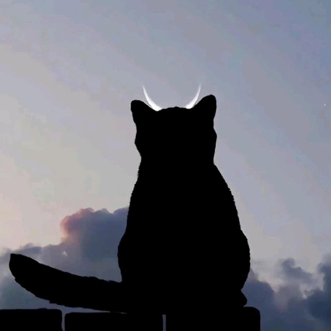 小瞿没文案