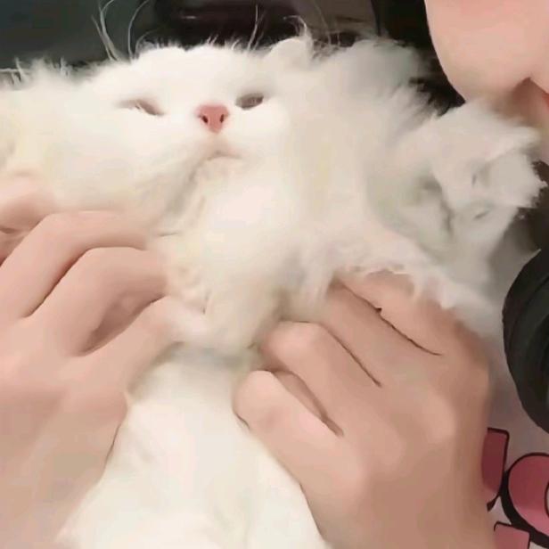 九州