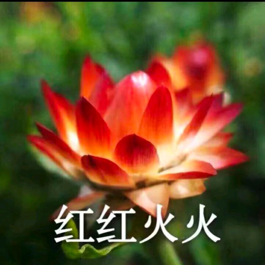 努力去奋斗