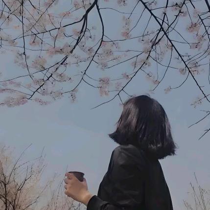 傲娇媛