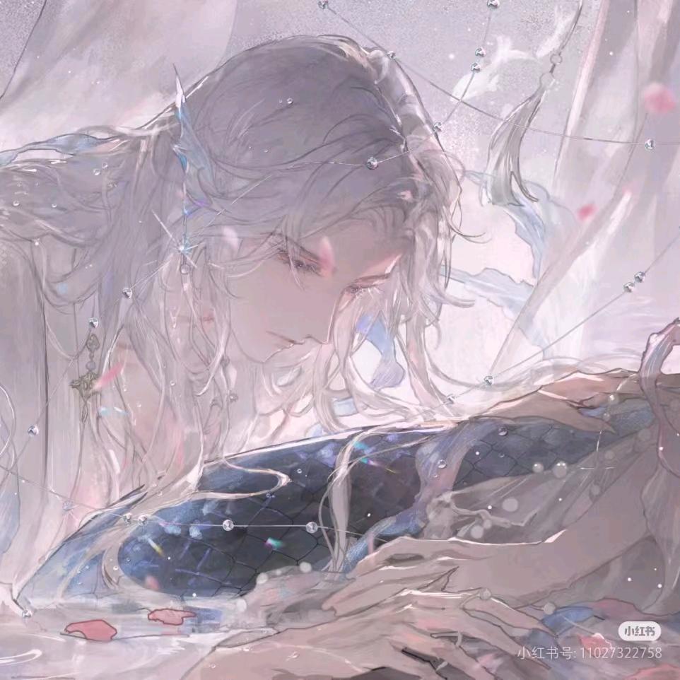 煤球球୧⍤⃝🍨