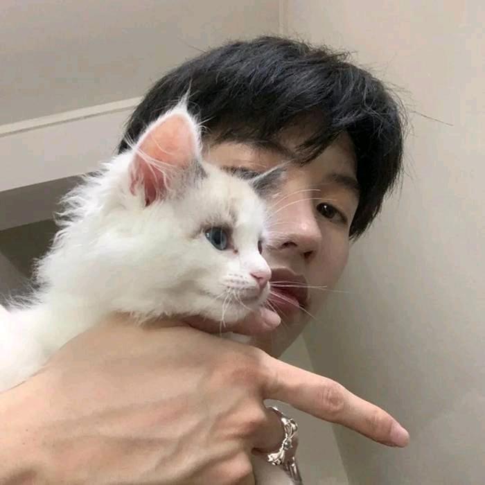 烟羽