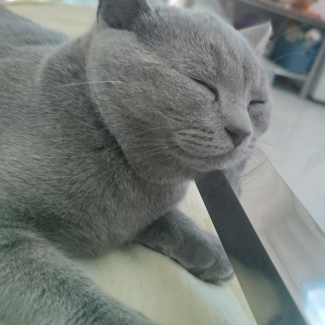 是汤圆喂！