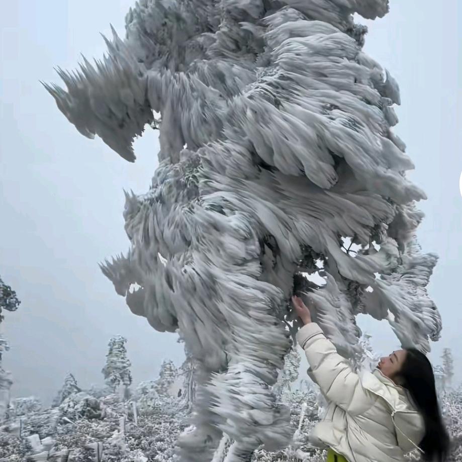 往事随风散