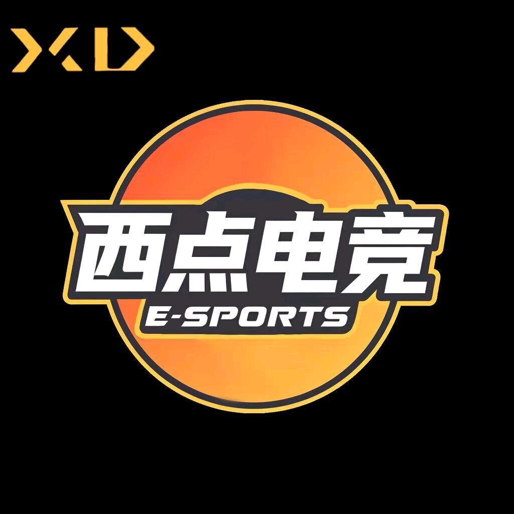 西点电竞