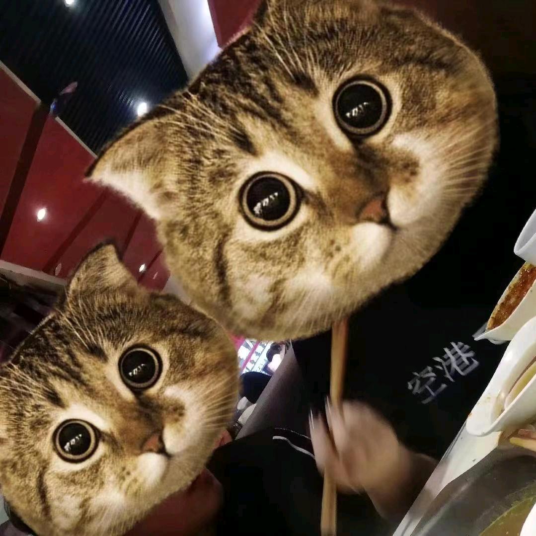 QHY