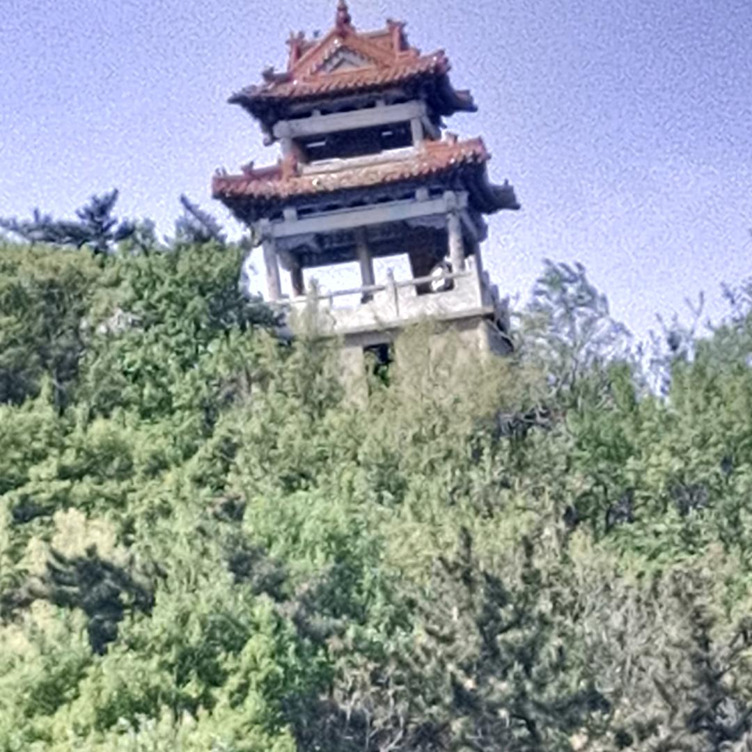 老李头子