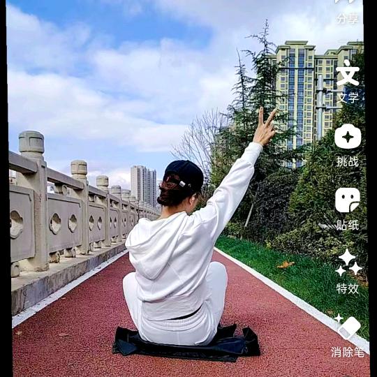 会飞🉐🐟鱼