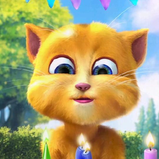 猫猫宝贝