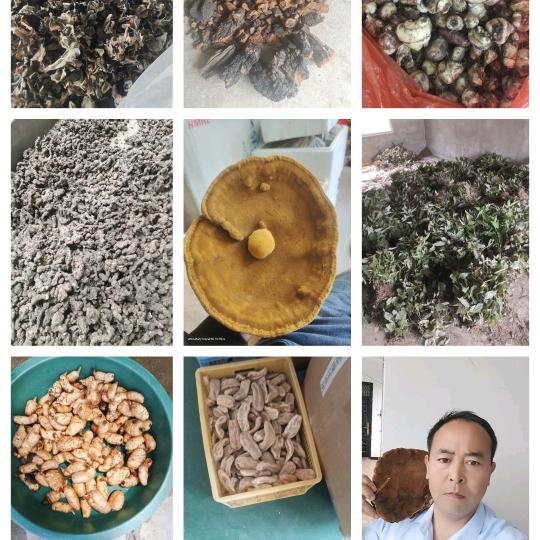老陈山货药材