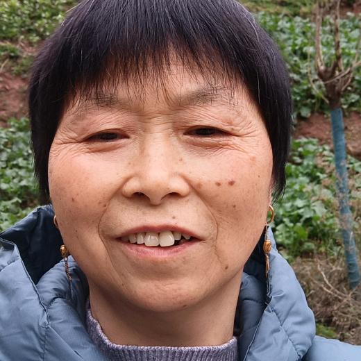 龙奶奶（下午1点10分首播）