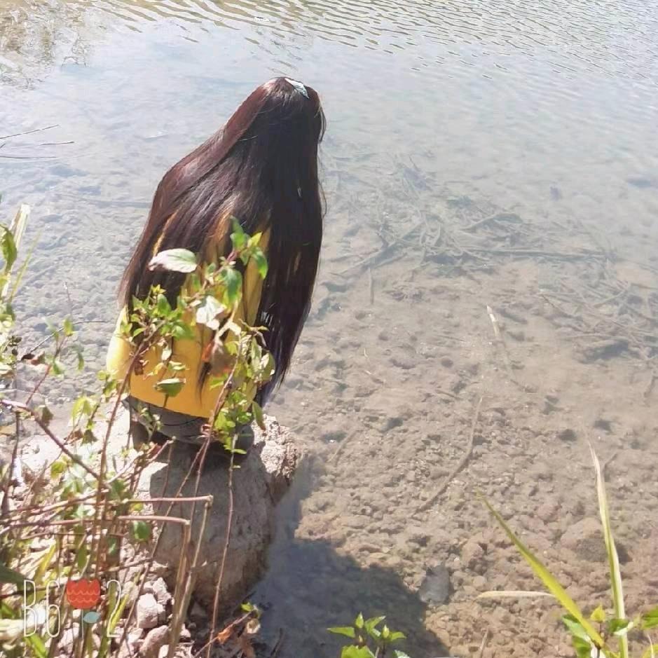 香香