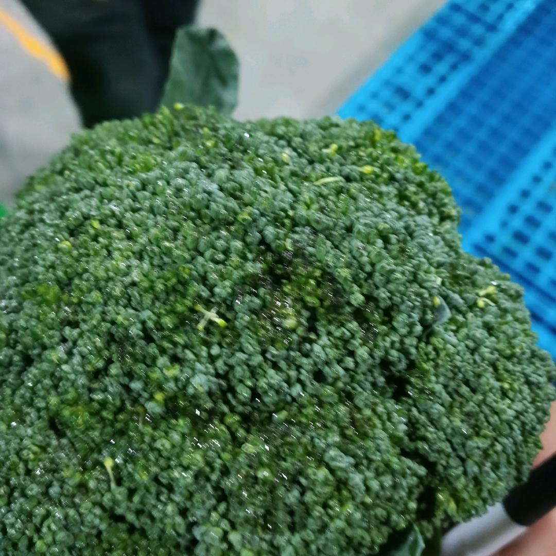 苏州搭子组局