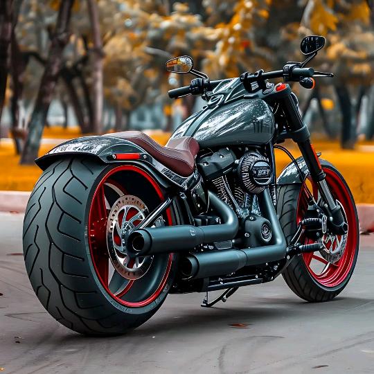 在大堡礁跳舞的奇异果